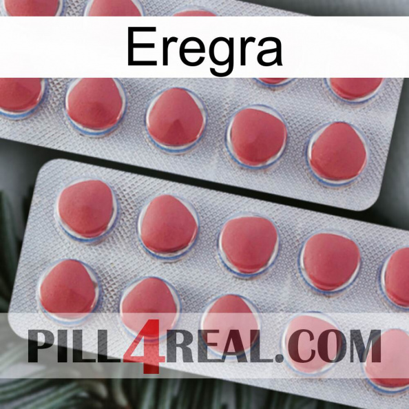 Eregra 19
